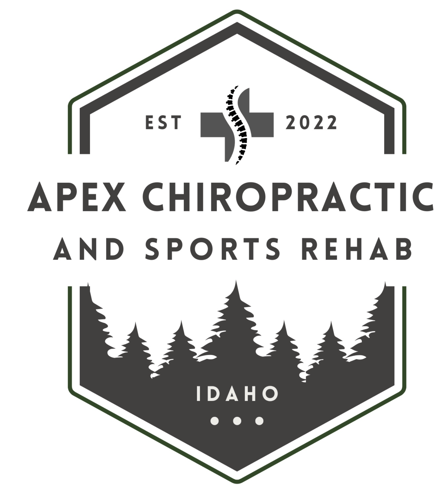 Apex Chiropractic and Sports Rehab